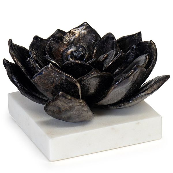 Sculpture succulente 1, Noir