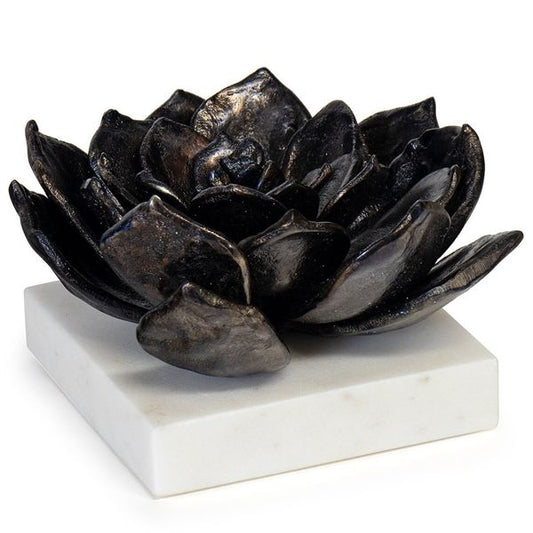 Sculpture succulente 1, Noir